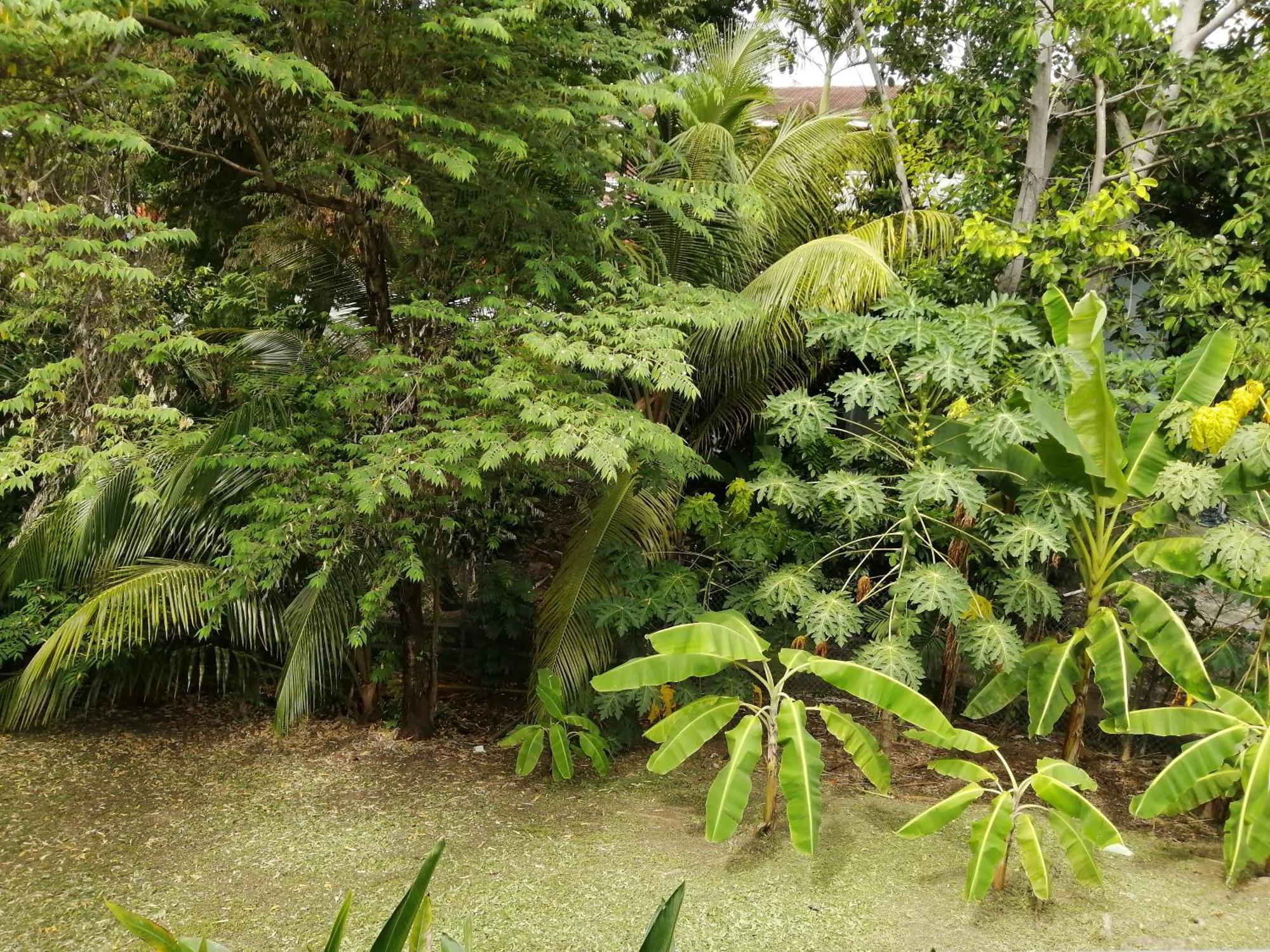 Villa Bacolet Oasis à Scarborough Extérieur photo